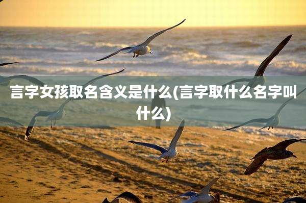 言字女孩取名含义是什么(言字取什么名字叫什么)