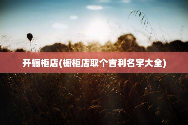 开橱柜店(橱柜店取个吉利名字大全)