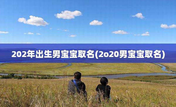 202年出生男宝宝取名(2o20男宝宝取名)