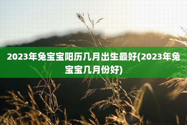 2023年兔宝宝阳历几月出生最好(2023年兔宝宝几月份好)