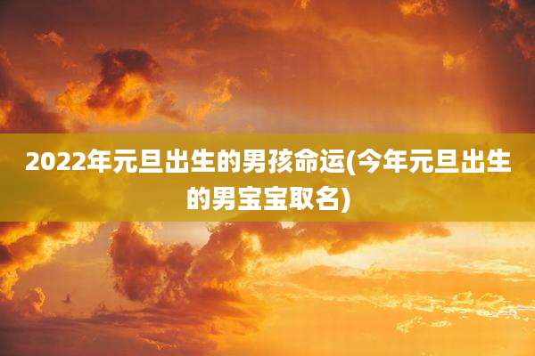 2022年元旦出生的男孩命运(今年元旦出生的男宝宝取名)