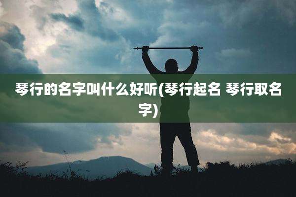 琴行的名字叫什么好听(琴行起名 琴行取名字)