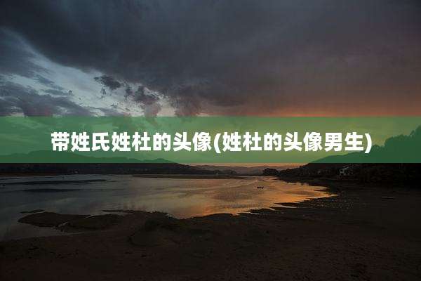 带姓氏姓杜的头像(姓杜的头像男生)