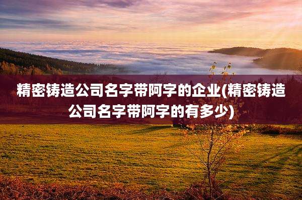 精密铸造公司名字带阿字的企业(精密铸造公司名字带阿字的有多少)
