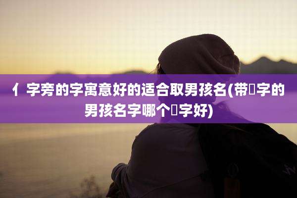 亻字旁的字寓意好的适合取男孩名(带莀字的男孩名字哪个莀字好)