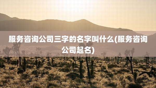 服务咨询公司三字的名字叫什么(服务咨询公司起名)