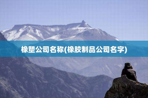 橡塑公司名称(橡胶制品公司名字)