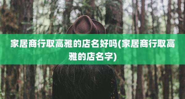家居商行取高雅的店名好吗(家居商行取高雅的店名字)