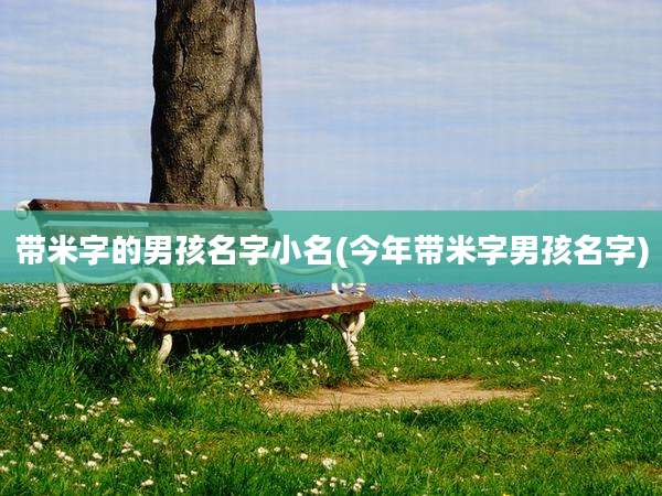 带米字的男孩名字小名(今年带米字男孩名字)