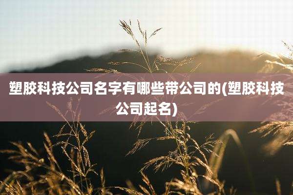 塑胶科技公司名字有哪些带公司的(塑胶科技公司起名)
