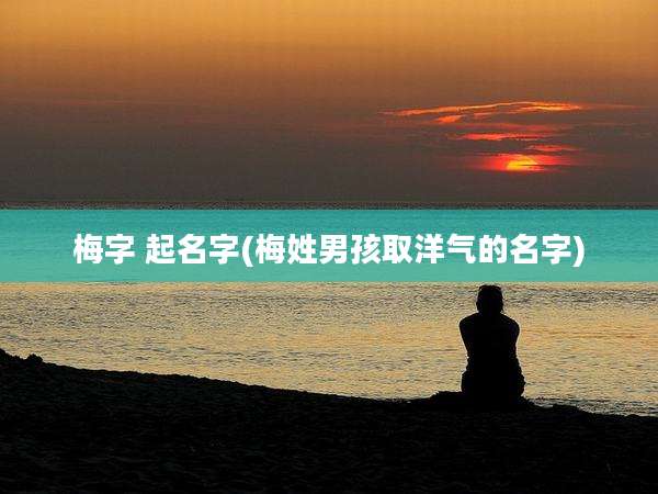 梅字 起名字(梅姓男孩取洋气的名字)