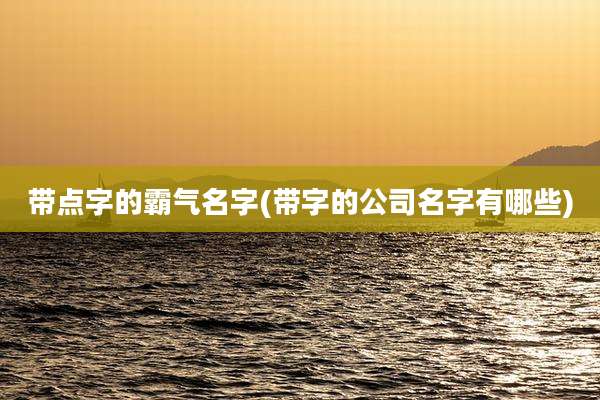 带点字的霸气名字(带字的公司名字有哪些)