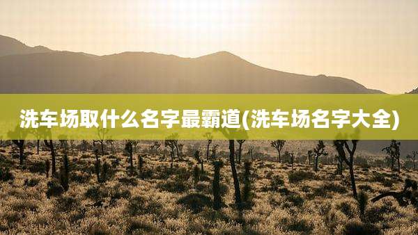 洗车场取什么名字最霸道(洗车场名字大全)
