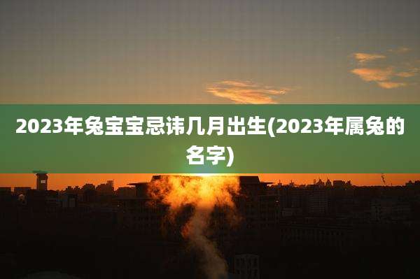2023年兔宝宝忌讳几月出生(2023年属兔的名字)