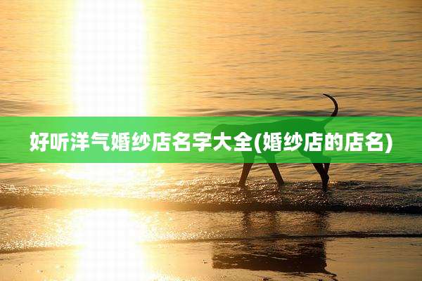 好听洋气婚纱店名字大全(婚纱店的店名)
