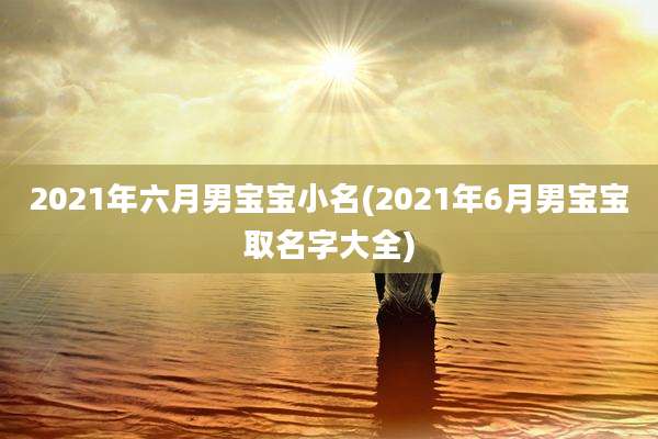 2021年六月男宝宝小名(2021年6月男宝宝取名字大全)