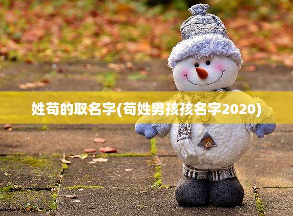 姓苟的取名字(苟姓男孩孩名字2020)