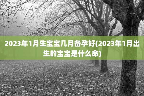 2023年1月生宝宝几月备孕好(2023年1月出生的宝宝是什么命)