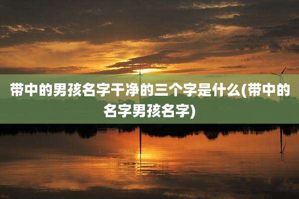 带中的男孩名字干净的三个字是什么(带中的名字男孩名字)