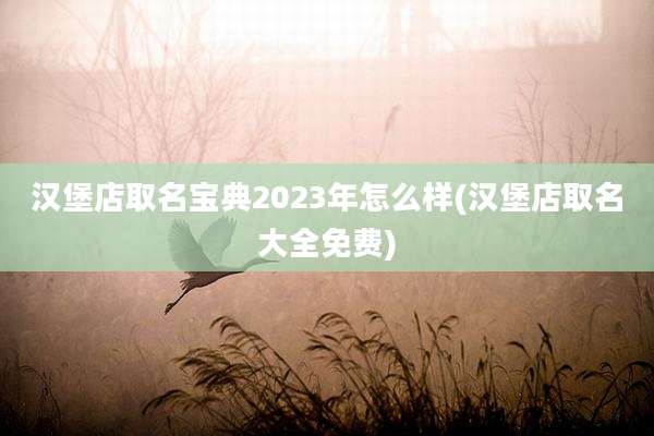 汉堡店取名宝典2023年怎么样(汉堡店取名大全免费)