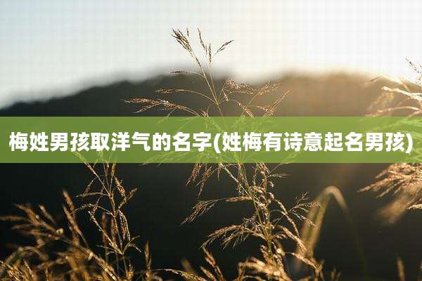 梅姓男孩取洋气的名字(姓梅有诗意起名男孩)
