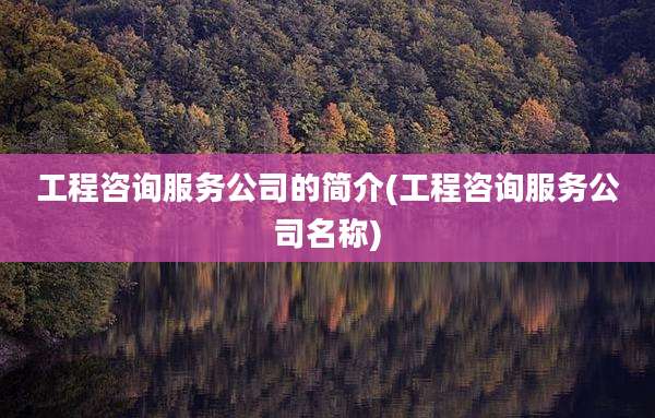 工程咨询服务公司的简介(工程咨询服务公司名称)