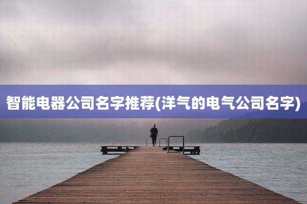 智能电器公司名字推荐(洋气的电气公司名字)