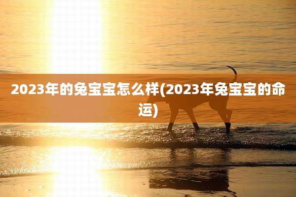 2023年的兔宝宝怎么样(2023年兔宝宝的命运)
