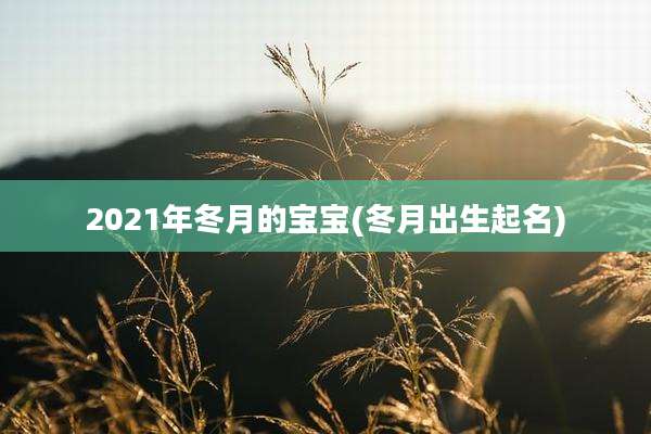 2021年冬月的宝宝(冬月出生起名)