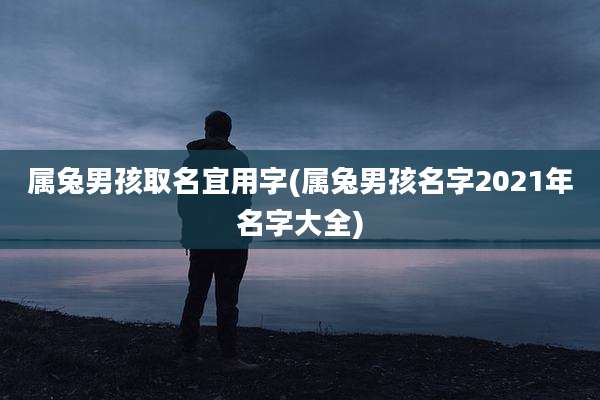 属兔男孩取名宜用字(属兔男孩名字2021年名字大全)