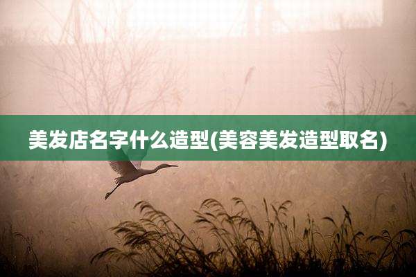 美发店名字什么造型(美容美发造型取名)