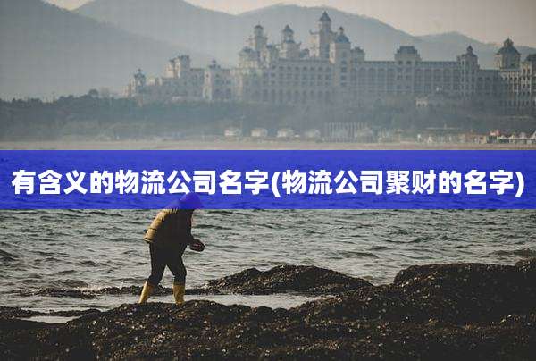 有含义的物流公司名字(物流公司聚财的名字)