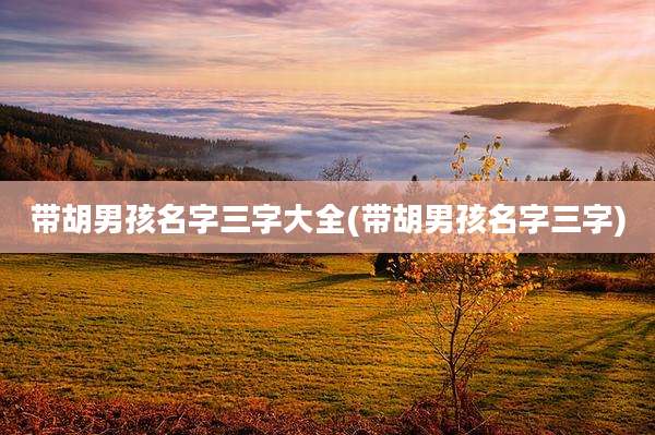 带胡男孩名字三字大全(带胡男孩名字三字)