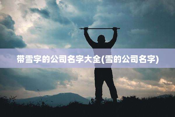 带雪字的公司名字大全(雪的公司名字)