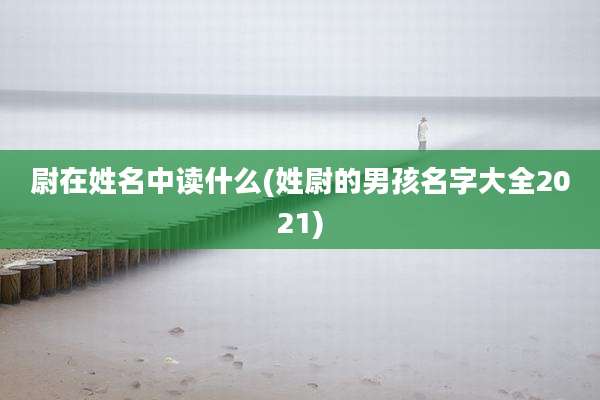 尉在姓名中读什么(姓尉的男孩名字大全2021)