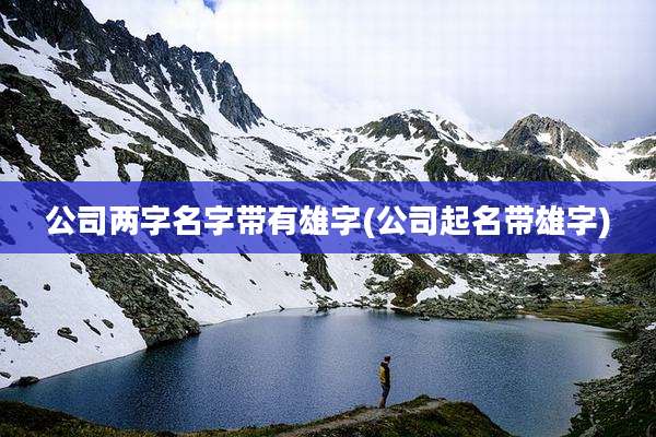 公司两字名字带有雄字(公司起名带雄字)