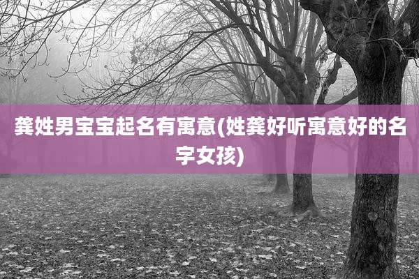 龚姓男宝宝起名有寓意(姓龚好听寓意好的名字女孩)