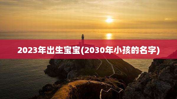 2023年出生宝宝(2030年小孩的名字)