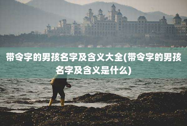带令字的男孩名字及含义大全(带令字的男孩名字及含义是什么)