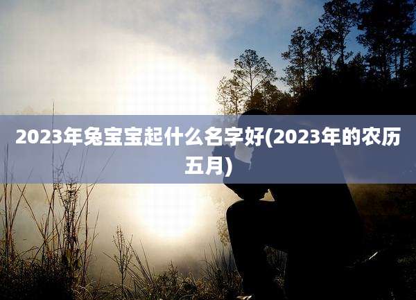 2023年兔宝宝起什么名字好(2023年的农历五月)