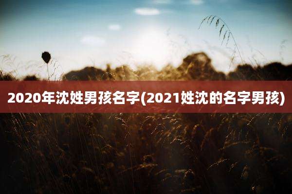 2020年沈姓男孩名字(2021姓沈的名字男孩)
