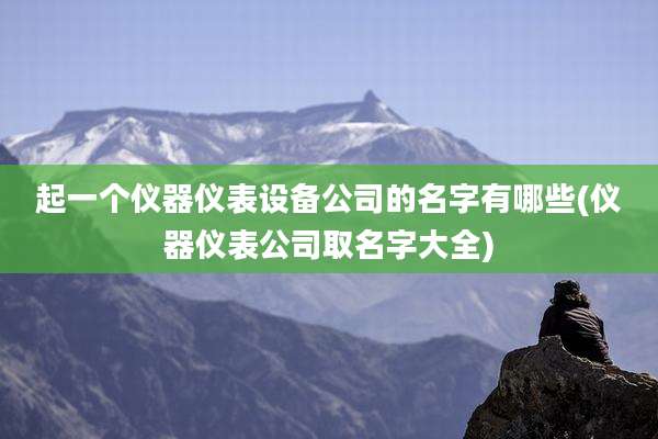 起一个仪器仪表设备公司的名字有哪些(仪器仪表公司取名字大全)