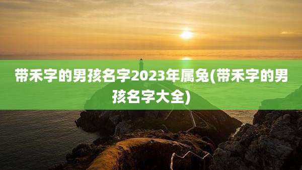 带禾字的男孩名字2023年属兔(带禾字的男孩名字大全)