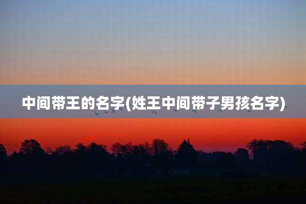 中间带王的名字(姓王中间带子男孩名字)