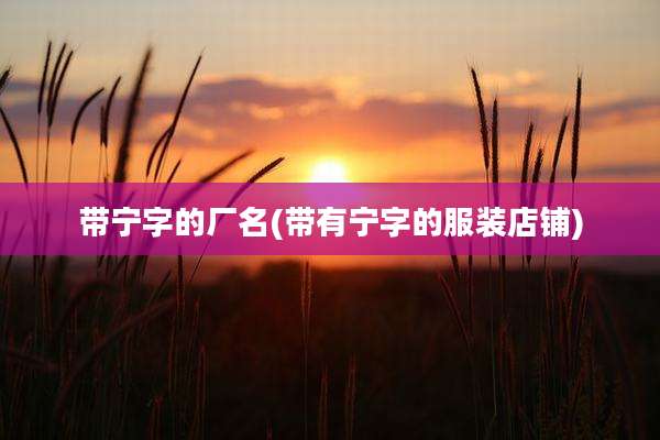 带宁字的厂名(带有宁字的服装店铺)