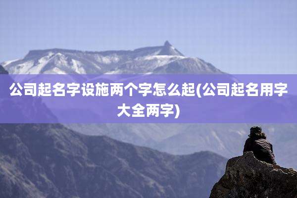 公司起名字设施两个字怎么起(公司起名用字大全两字)