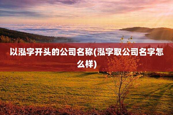 以泓字开头的公司名称(泓字取公司名字怎么样)