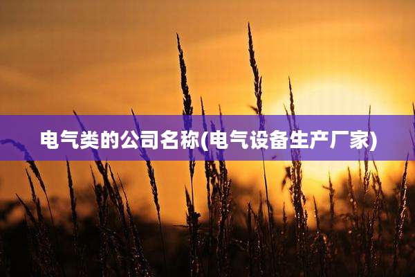 电气类的公司名称(电气设备生产厂家)