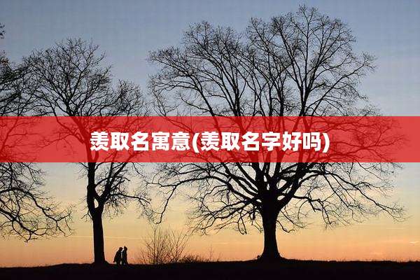 羡取名寓意(羡取名字好吗)