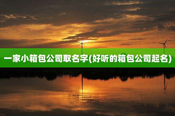 一家小箱包公司取名字(好听的箱包公司起名)